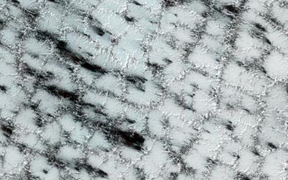 The dark fans in this image are made up of small particles from the surface deposited on top of the seasonal layer of ice; carbon dioxide ice still covers much of the surface at this high latitude site observed by NASA's Mars Reconnaissance Orbiter.