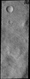 This image captured by NASA's 2001 Mars Odyssey spacecraft shows a multitude of dust devil tracks on Mars. The dark linear marks record where the dust devil was in contact with the surface and removed dust revealing the darker surface below.