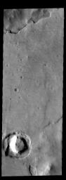 This image from NASA's 2001 Mars Odyssey spacecraft shows dust devil tracks on the surface of Sisyphi Planum.