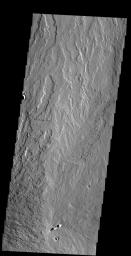 This image captured by NASA's 2001 Mars Odyssey spacecraft shows lava flows near the eastern flank of Pavonis Mons.