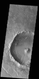 This image from NASA's 2001 Mars Odyssey spacecraft is of an unnamed crater located on the floor of the much larger Newton Crater. This crater had a central peak, gullies on the inner rim and dunes on the northern part of the crater floor.