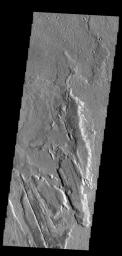 The lava flows in this image captured by NASA's 2001 Mars Odyssey spacecraft are part of Daedalia Planum, a huge lava field that originates from Arsia Mons.