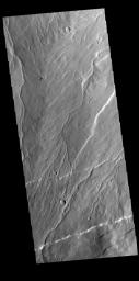 This image captured by NASA's 2001 Mars Odyssey spacecraft shows part of Rzvius Valles, located on the northern flank of Alba Mons.