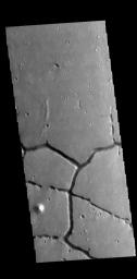 The intersecting linear depressions in this image from NASA's 2001 Mars Odyssey spacecraft are part of Hephaestus Fossae.