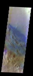 The THEMIS VIS camera contains 5 filters. The data from different filters can be combined in multiple ways to create a false color image. This image from NASA's 2001 Mars Odyssey spacecraft shows some of the dunes located on the floor of Pettit Crater.