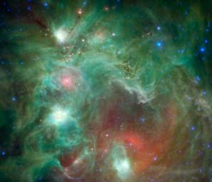 Scores of baby stars shrouded by dust are revealed in this infrared image of the star-forming region NGC 2174, as seen by NASA's Spitzer Space Telescope. Found in the constellation Orion, NGC 2174 is located around 6,400 light-years away.