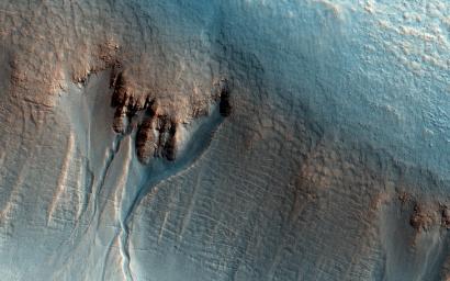 This enhanced-color image from NASA's Mars Reconnaissance Orbiter shows gullies in the northern wall of an unnamed crater in Utopia Planitia. The banked, sinuous shape of the gully channels suggest that water was involved in their formation.