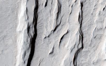This image from NASA's Mars Reconnaissance Orbiter spacecraft nicely captures several influential geologic processes that have shaped the landscape of Lycus Sulci.