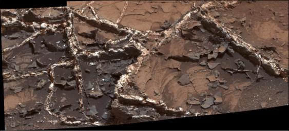 Prominent mineral veins at the 'Garden City' site examined by NASA's Curiosity Mars rover vary in thickness and brightness, as seen in this image from Curiosity's Mast Camera (Mastcam).