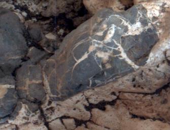 Light material emplaced within darker vein material is seen in this view of a mineral vein at the 'Garden City' site on lower Mount Sharp, Mars. The Mars Hand Lens Imager (MAHLI) on the arm of NASA's Curiosity Mars Rover took the image on April 4, 2015.