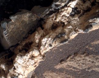 This view from the Mars Hand Lens Imager (MAHLI) on the arm of NASA's Curiosity Mars rover shows a combination of dark and light material within a mineral vein at a site called 'Garden City' on lower Mount Sharp.