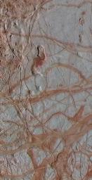 This enhanced-color view obtained on September 25, 1998 from NASA's Galileo spacecraft shows an intricate pattern of linear fractures on the icy surface of Jupiter's moon Europa.