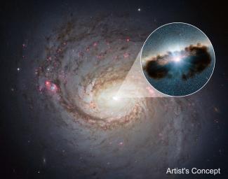Galaxy NGC 1068 can be seen in close-up in this view from NASA's Hubble Space Telescope. NuSTAR data revealed that the torus of gas and dust surrounding the black hole, also referred to as a doughnut, is more clumpy than previously thought.