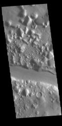 This image captured by NASA's 2001 Mars Odyssey spacecraft shows an elevated group of hills east of Phlegra Montes.