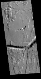Located south of Alba Mons, Olympica Fossae is a complex system of tectonic and volcanic features. The linear features in this image from NASA's 2001 Mars Odyssey spacecraft are graben, but the curved feature may be a lava channel.
