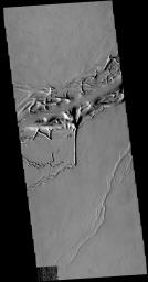 This image from NASA's 2001 Mars Odyssey spacecraft shows a different part of Olympica Fossae. In this region lava channels dominate. The complex interaction of volcanic and tectonic processes is illustrated by the central feature in this image.
