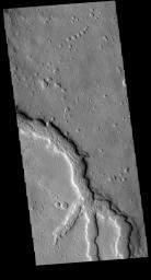 This image captured by NASA's 2001 Mars Odyssey spacecraft shows where several channels join together. These channels are located in Terra Sabaea.