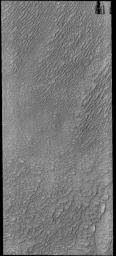 This image captured by NASA's 2001 Mars Odyssey spacecraft shows part of Siton Undae, a dune field located near Escorial Crater and the north polar cap.