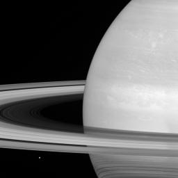 Saturn's icy moon Mimas is dwarfed by the planet's enormous rings as seen by NASA's Cassini spacecraft.