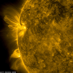 This still image from an animation from NASA's GSFC's Solar Dynamics Observatory shows arches of magnetic field lines towered over the edge of the Sun as a pair of active regions began to rotate into view (Apr. 5-6, 2016).