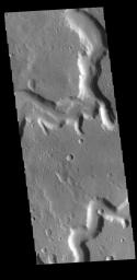 This image captured by NASA's 2001 Mars Odyssey spacecraft shows both branches of Nanedi Valles, close to the point where they join to form a single channel.