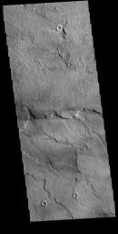 This image captured by NASA's 2001 Mars Odyssey spacecraft shows a small portion of Daedalia Planum.