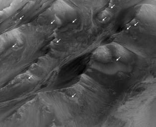 The white arrows indicate locations in this scene where numerous seasonal dark streaks have been identified in the Coprates Montes area of Mars' Valles Marineris by NASA's repeated MRO observations from orbit.