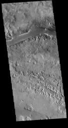 The channel in this image captured by NASA's 2001 Mars Odyssey spacecraft is part of Granicus Valles.