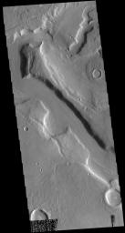 This image captured by NASA's 2001 Mars Odyssey spacecraft shows a small portion of Mamers Valles.