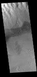This image captured by NASA's 2001 Mars Odyssey spacecraft shows sand dune forms in Juventae Chasma.