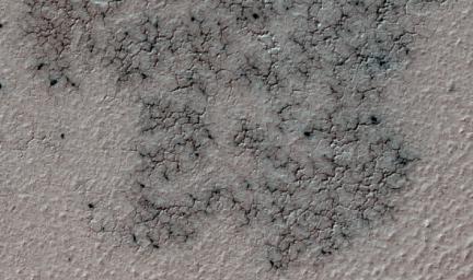 This image from NASA's Mars Reconnaissance Orbiter shows spidery channels eroded into Martian ground. This terrain type, called spiders or 'araneiform' (from the Latin word for spiders), appears in some areas of far-southern Mars.