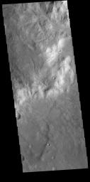 Numerous channels dissect the higher elevation material at the top of this image. This image captured by NASA's 2001 Mars Odyssey spacecraft is located in Noachis Terra.