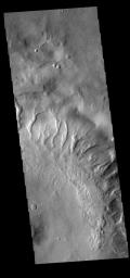 This image from NASA's 2001 Mars Odyssey spacecraft shows numerous large gullies dissect the inner rim of this unnamed crater in Noachis Terra.
