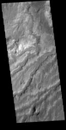 The numerous, closely spaced channels in this image from NASA's 2001 Mars Odyssey spacecraft are part of Arda Valles.
