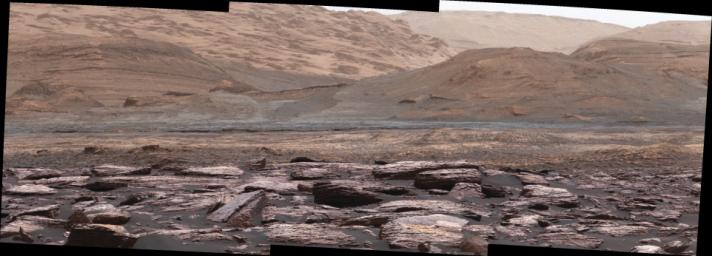 The foreground of this scene from NASA's Curiosity Mars rover shows purple-hued rocks near the rover's late-2016 location on lower Mount Sharp. Variations in color of the rocks hint at the diversity of their composition.