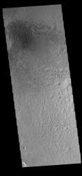 This image captured by NASA's 2001 Mars Odyssey spacecraft shows a field of sand dunes on the floor of Hale Crater.