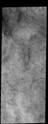 This image captured by NASA's 2001 Mars Odyssey spacecraft shows dust devil tracks in Aonia Terra. As the dust devil moves along the surface it scours the dust and fine materials away, revealing the darker rocky surface below the dust.