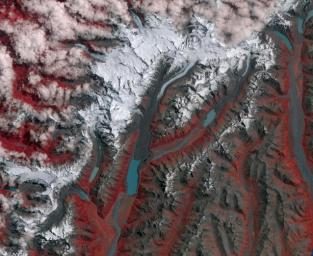 New Zealand contains over 3,000 glaciers, most of which are in the Southern Alps on the South Island. Since 1890, the glaciers have been retreating, with short periods of small advances, as shown in this image from NASA's Terra spacecraft.