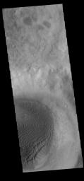 This image captured by NASA's 2001 Mars Odyssey spacecraft shows a portion of a sand sheet with surface dune forms on the floor of an unnamed crater in Noachis Terra.