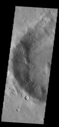 Many gullies dissect the inner rim of this unnamed crater in Noachis Terra, as shown in this image captured by NASA's 2001 Mars Odyssey spacecraft.