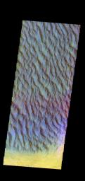 The THEMIS camera contains 5 filters. The data from different filters can be combined in multiple ways to create a false color image. This image from NASA's 2001 Mars Odyssey spacecraft shows a part of the large sand sheet on the floor of Proctor Crater.