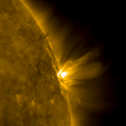 When an active region rotated over to the edge of the sun, it presented NASA's Solar Dynamics Observatory with a nice profile view of its elongated loops stretching and swaying above it (Mar. 8-9, 2017).