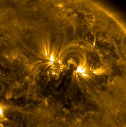 The magnetic field lines between a pair of active regions formed a beautiful set of swaying arches rising up above them Apr. 24-26, 2017, as seen by NASA's Solar Dynamics Observatory.