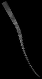 NASA's Cassini spacecraft captured the near-infrared images in this mosaic on June 29, 2017, as it raced toward the gap between Saturn and its rings.