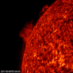 At the edge of the sun, a large prominence and a small prominence began to shift, turn and fall apart in less than one day, observed by NASA's Solar Dynamics Observatory, May 8-9, 2017.