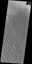 This image captured by NASA's 2001 Mars Odyssey spacecraft shows a portion of the dune sheet and other dune forms on the floor of Proctor Crater.