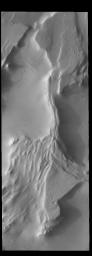 The ridges in this image from NASA's 2001 Mars Odyssey spacecraft are creating shadows due to low sun angle.