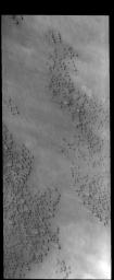 NASA's 2001 Mars Odyssey spies what looks like a barrage of bullets headed its way.