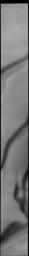 What resembles a person's profile appears at the bottom of this image captured by NASA's 2001 Mars Odyssey spacecraft.