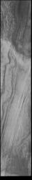 This image captured by NASA's 2001 Mars Odyssey spacecraft looks a plank of wood, with a beautiful grain to it.